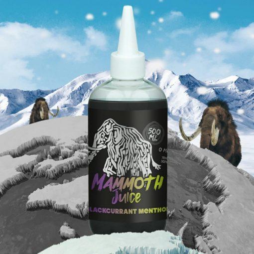 Blackcurrant Menthol 500ml E-Liquid By Mammoth Juice - Vapeareawholesale