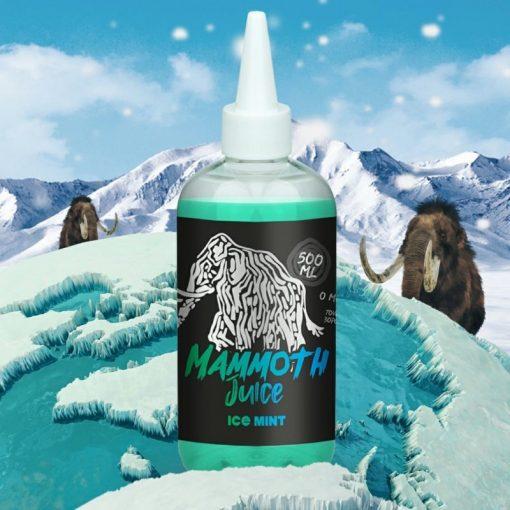 Ice Mint 500ml E-Liquid By Mammoth Juice - Vapeareawholesale