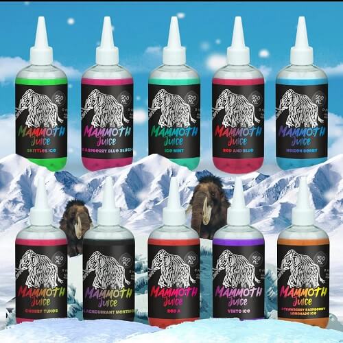 Blueberry Raspberry 500ml E-Liquid By Mammoth Juice - Vapeareawholesale