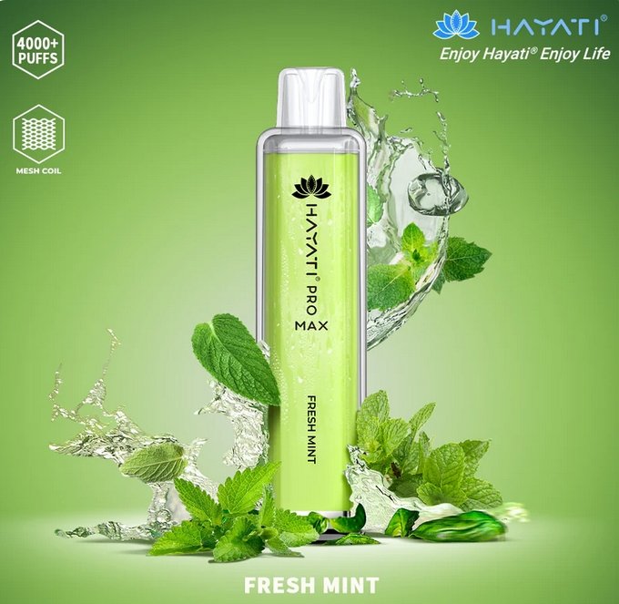 Hayati Pro Max 4000 Puffs Disposable Vape Bar Box of 10 - Vapeareawholesale