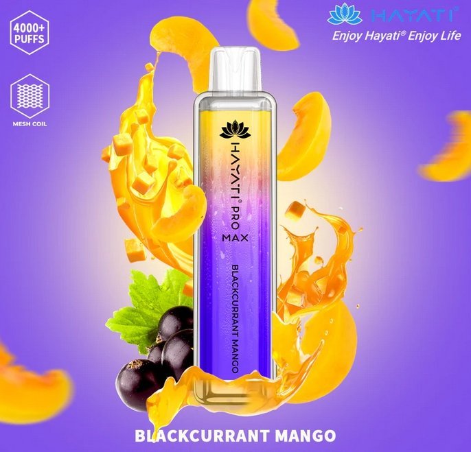 Hayati Pro Max 4000 Puffs Disposable Vape Bar Box of 10 - Vapeareawholesale