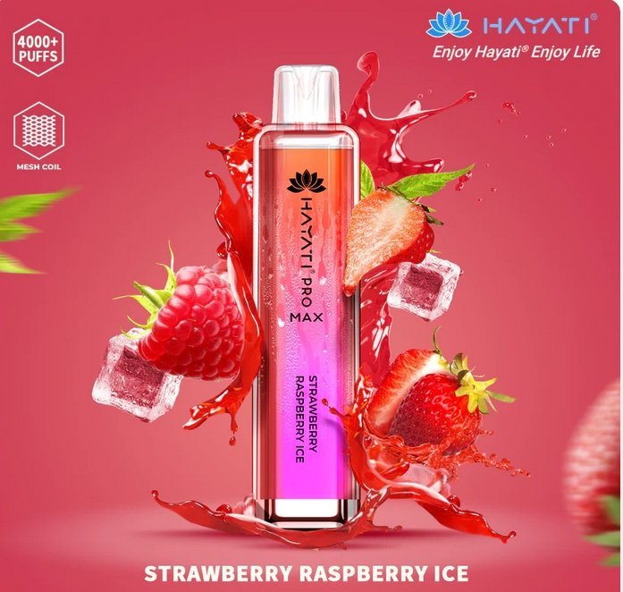 Hayati Pro Max 4000 Puffs Disposable Vape Bar Box of 10 - Vapeareawholesale