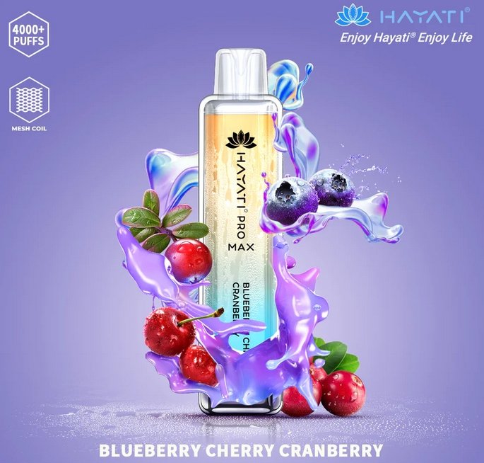 Hayati Pro Max 4000 Puffs Disposable Vape Bar Box of 10 - Vapeareawholesale