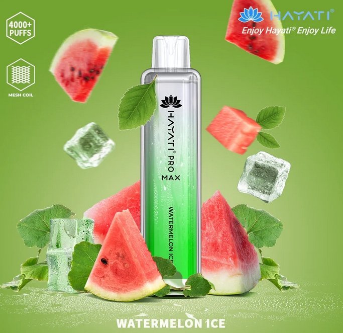 Hayati Pro Max 4000 Puffs Disposable Vape Bar Box of 10 - Vapeareawholesale