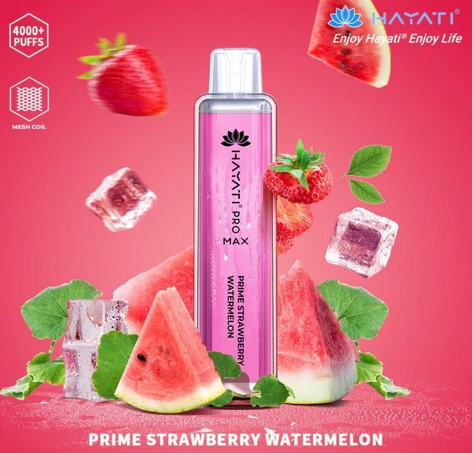 Hayati Pro Max 4000 Puffs Disposable Vape Bar Box of 10 - Vapeareawholesale