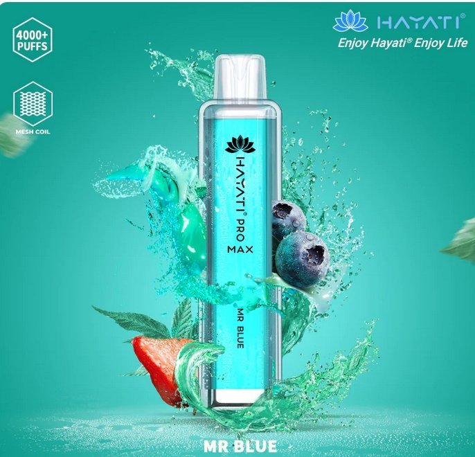 Hayati Pro Max 4000 Puffs Disposable Vape Bar Box of 10 - Vapeareawholesale