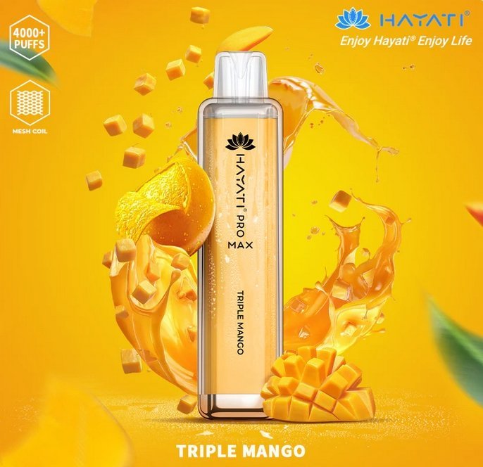 Hayati Pro Max 4000 Puffs Disposable Vape Bar Box of 10 - Vapeareawholesale