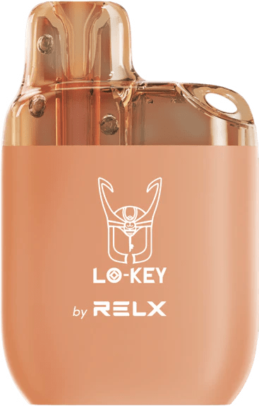 RELX Lo-key 600 Puffs Disposable Vape Pod Device - Box of 10 - Vapeareawholesale